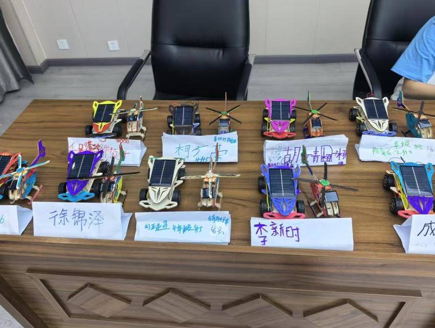 青春实践育新苗  全面发展促成长.docx